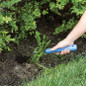 Weeder blue-handled crack weeder side view
