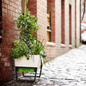 Glowpear Urban Garden Self Watering Planter Box In Alleyway
