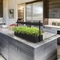 Indoor Tabletop Planter with Grow Lights in the Kitchen