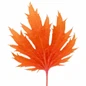 Heuchera FYRE WING™ foliage