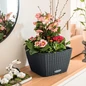 BACINO Cottage Planter