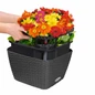 Removing Liner From BACINO Cottage Planter