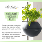 BOLA Color Self-Watering Hanging Planter Water Once