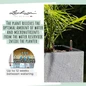 CANTO Slatestone Planters Water Reservoir