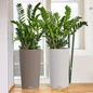 CILINDRO Cottage Tall Round Planter