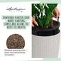 CILINDRO Cottage Tall Round Planter Removable Liner