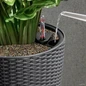 Refilling CILINDRO Cottage Tall Round Self Watering Planters