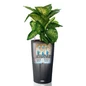 Self Watering CILINDRO Cottage Tall Round Planters
