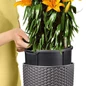 CILINDRO Cottage Tall Round Planter Liner