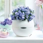 Indoor PURO Color Self-Watering Square Planter in White