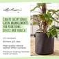 Premium TRENDCOVER Self-Watering Indoor Planters
