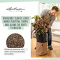 TRENDCOVER Self-Watering Indoor Planter With Micronutrients