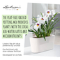 ORCHIDPON - Orchid Plant Substrate Micronutrients