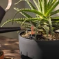 Watering BASICPON - Sensitive Houseplant Substrate