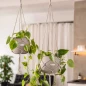 Lechuza White Macramé Plant Hanger