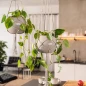Two Lechuza Macramé Plant Hangers