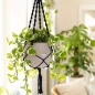 Lechuza Macramé Plant Hanger in the sunlight