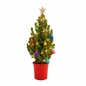 Decorated Dwarf Alberta Spruce