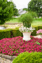 Graceful Grasses® Prince Tut Dwarf Egyptian Papyrus