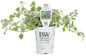 Proven Accents® White Licorice Plant in Proven Winners Pot