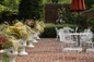 Mexican Feather Grass in Commercial Planters