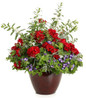 Boldly® Dark Red Geranium in mixed annual garden planter