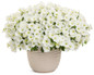 Supertunia Vista Snowdrift Petunia in Decorative Pot