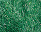 Graceful Grasses® Fiber Optic Grass Foliage