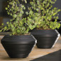 Daniel Round Planters with plants