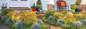 Fire Chief Arborvitae in Combination Garden Planter