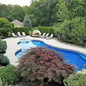 Emerald Green Arborvitae Hedge and Japanese Maple by the Pool