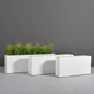 Camoux Narrow Rectangular Planters with plants