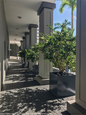 Montroy Cube Planters Outside in the Entryway