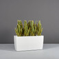 Panama Rectangular Tapered Planter with plants