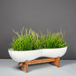 Timbrell Modern Planter with plants