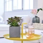 CANTO Stone Planters Indoors