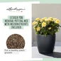 Classico Color Round Planters With Micronutrients