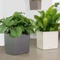 CUBE Premium Planters