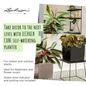 Self Watering CUBE Premium Planters