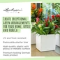 Premium CUBE Premium Planters