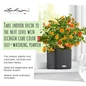 CUBE Color Planters For Indoor Plants
