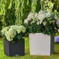 CUBE Cottage Planters
