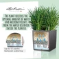 CUBE Cottage Planter Water Reservoir
