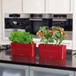 Delta Rectangular Planter in the kitchen