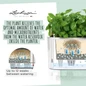 Self Watering Delta Rectangular Planters