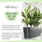 Self Watering Delta Rectangular Planter