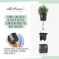 Self Watering Green Wall Hanging Planters
