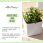 Low Maintenance Green Wall Hanging Planters