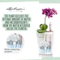 DELTINI Round Planters Wick Watering System