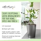 Premium DELTINI Round Planters